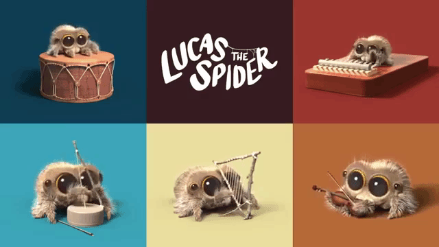 Lucas the Spider 小蜘蛛卢卡斯 蜘蛛卢卡斯 图片4 Lucas the Spider 小蜘蛛卢卡斯 蜘蛛卢卡斯 图片3